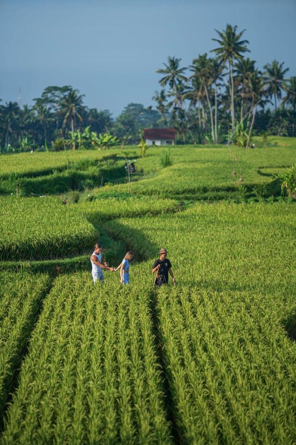 The Sun Of Granary Resort And Villas Ubud Extérieur photo