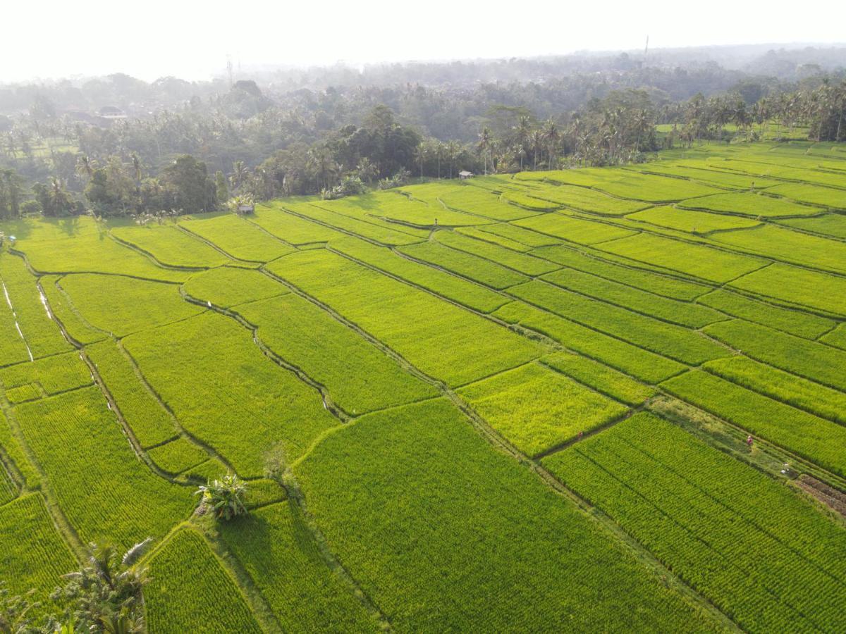 The Sun Of Granary Resort And Villas Ubud Extérieur photo