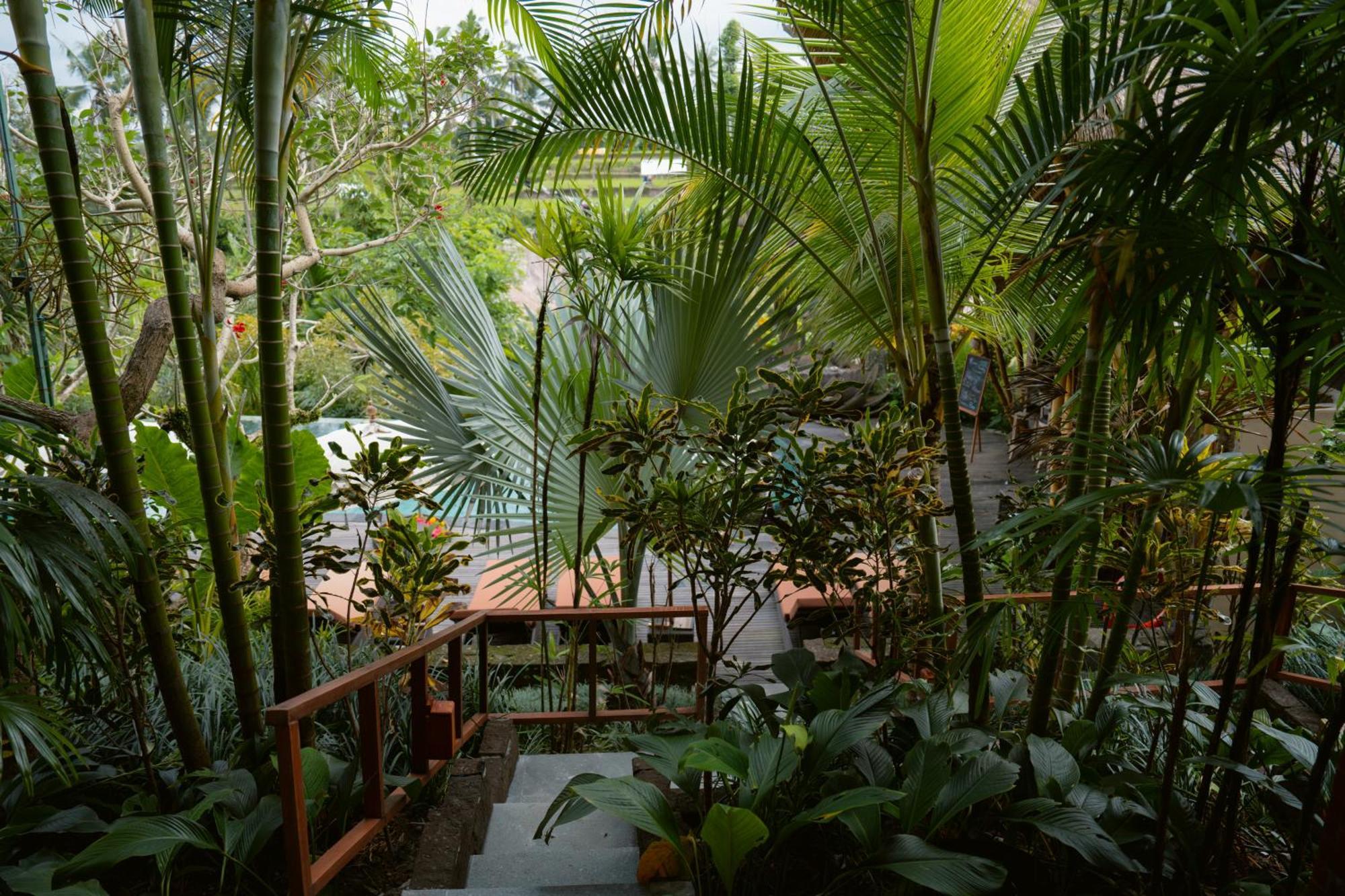 The Sun Of Granary Resort And Villas Ubud Extérieur photo